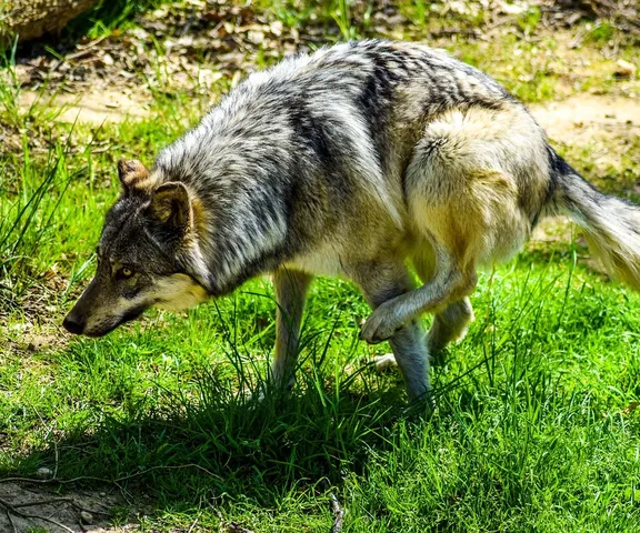 article une belle initiative pour relancer les activités de jumelage